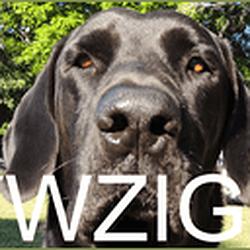 WZIG 104.1 FM
