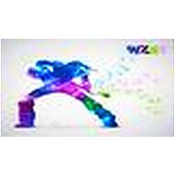 WZST