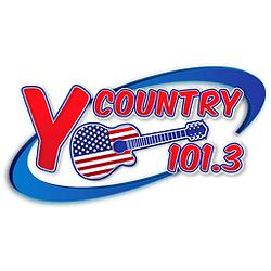 Y-101.3