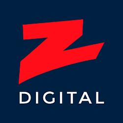 Z 101