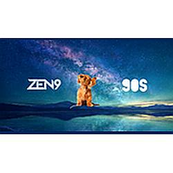 ZEN9 90s